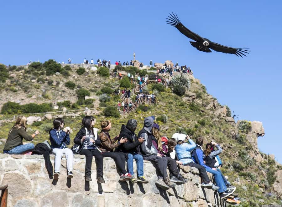 Colca Canyon: 2-Day Tour from Arequipa to Puno - Key points to know before booking
