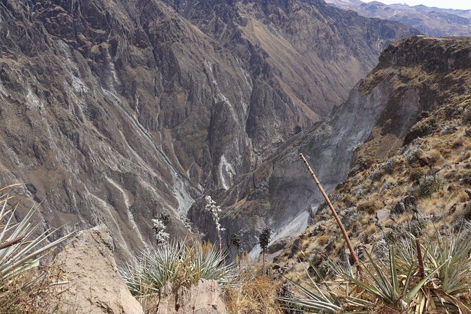 Colca Canyon Arequipa 2D / 1N - La Calera Hot Springs In Chivay