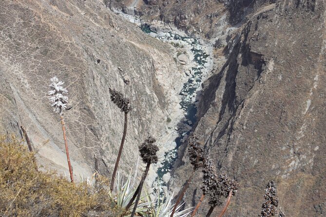 Colca Canyon Arequipa 2D / 1N - The 5:30 A.M. Start For The Cross Of The Condor