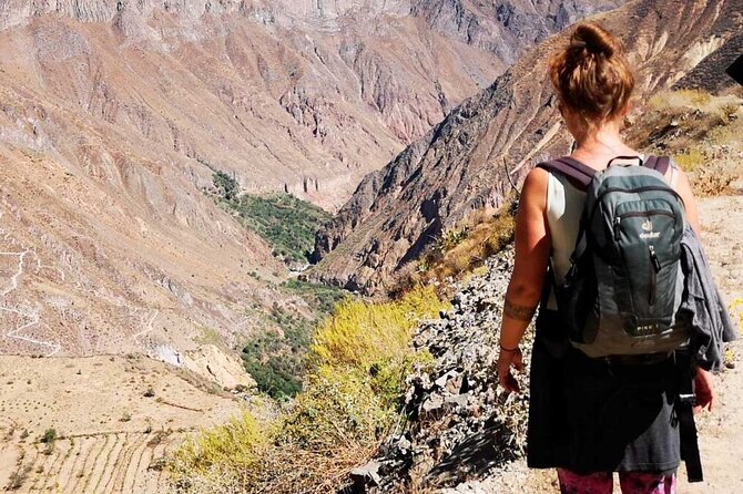 Colca Canyon Full Day Tour from Arequipa - Key points to know before booking