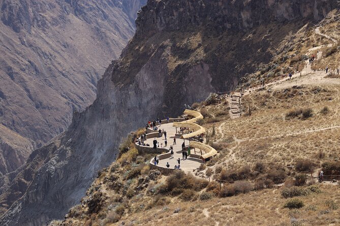 Colca Canyon Full Day Tour from Arequipa - Wildlife in Salinas y Aguada Blanca National Reserve