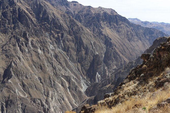 Colca Canyon Full Day Tour from Arequipa - Cruz del Cóndor and the morning flight of the Andean condor
