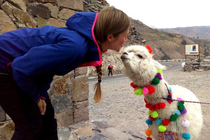 Colca Canyon Plus - Abra Patapampa and the 4,910-meter test