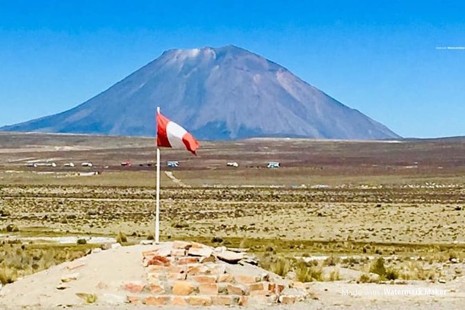 Colca Canyon Sightseeing Tour 2-Day 1-Night - Salinas y Aguada Blanca: vicuñas beside the road