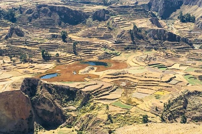Colca Canyon Sightseeing Tour 2-Day 1-Night - What the $100 price really includes