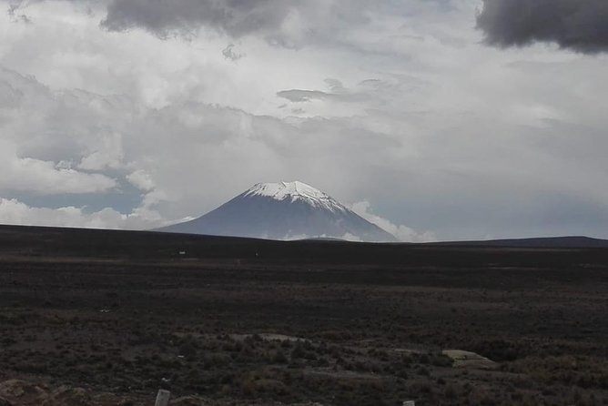 Colca Canyon Sightseeing Tour 2D1N and Transfer to Puno - Who should book this two-day Colca tour?