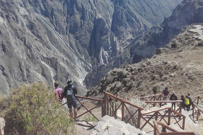 Colca Canyon Sightseeing Tour 2D1N and Transfer to Puno - Day one: vicuñas, volcanoes, and the climb to Chivay
