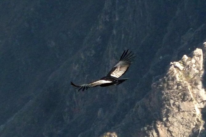Colca Canyon Tour 2 Days - Why two days works better than a rushed canyon visit
