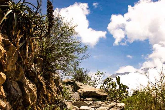 Colca Canyon Trek 3 Day 2 Night - Hot springs, high viewpoints, and the ride home