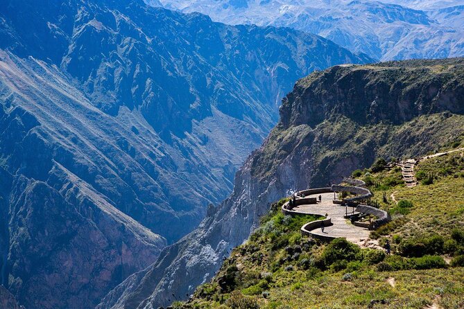 Colca Full Day Tour - The five things to know before booking