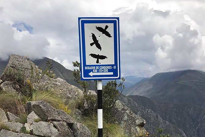 Condor Tour from Cusco - 1 Day - Why this condor trip is different from a standard Cusco day tour