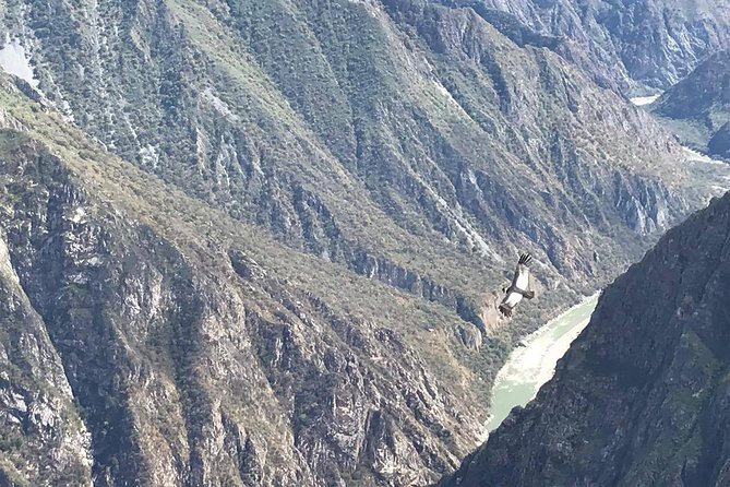 Condor Tour from Cusco - 1 Day - A very early start, with one detail to confirm