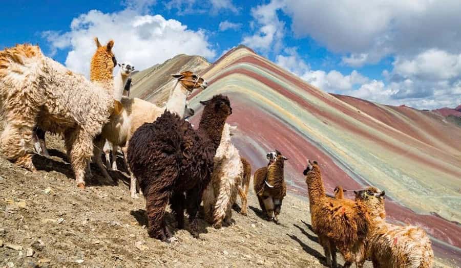 Cusco: #1 Rainbow Mountain & Red Valley Day Trip with Meals - Red Valley adds a quieter second walk