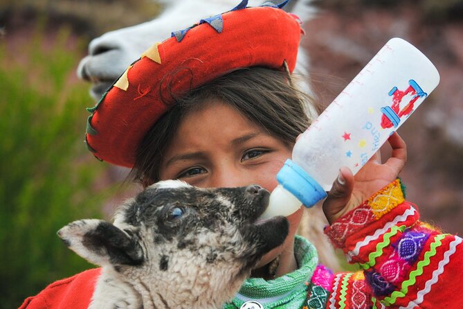 Cusco Airport Pickup and Private Transfer - Communication, flight delays, and the weak spot