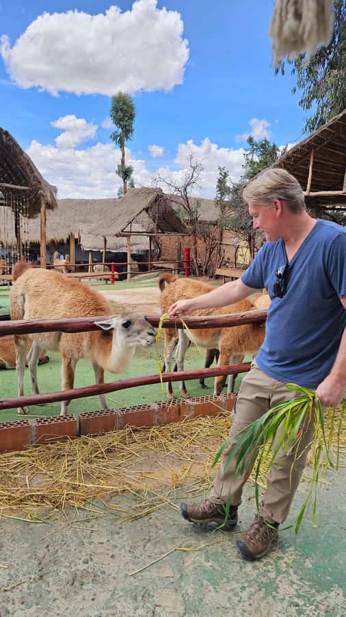Cusco: Alpaca and Llama Farm Tour w/ Transfer & Weaving Demo - What this Cusco farm visit is really like
