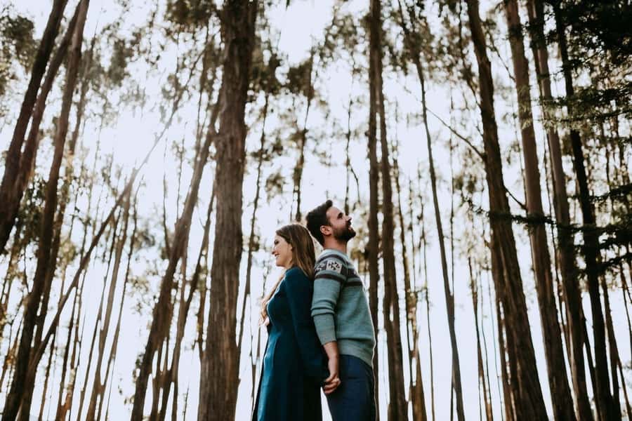 Cusco: Archaeological Park Morning Tour - The Eucalyptus Forest Photo Stop