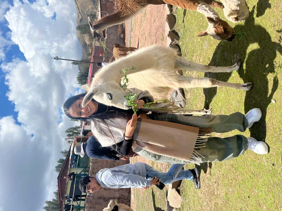 Cusco: Archeological Sites Tour and Forest Photo Experience - Tambomachay, the Inca baths