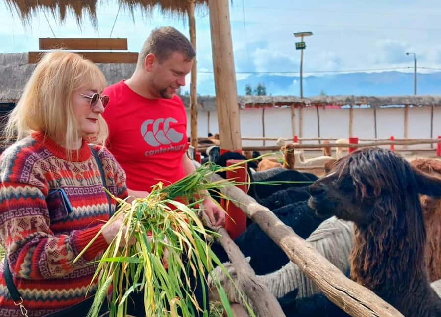Cusco: Archeological Sites Tour and Forest Photo Experience - The Qenqo Forest photo session