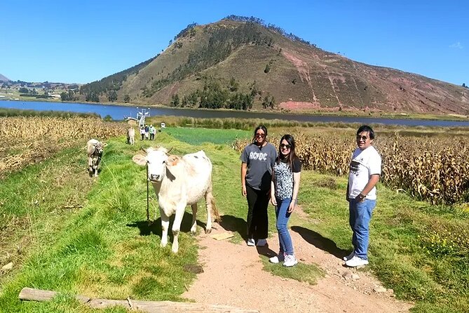 Cusco ATV (Cuatrimotos) Full Day Tour - What kind of day is this?