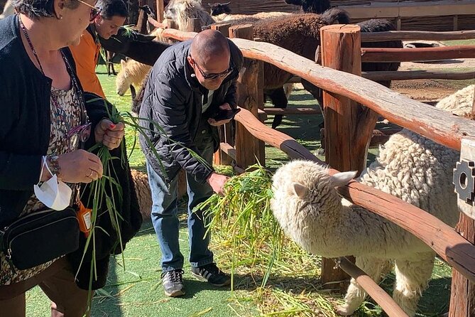 Cusco city tour - What the guides add, and where the tour can fall short