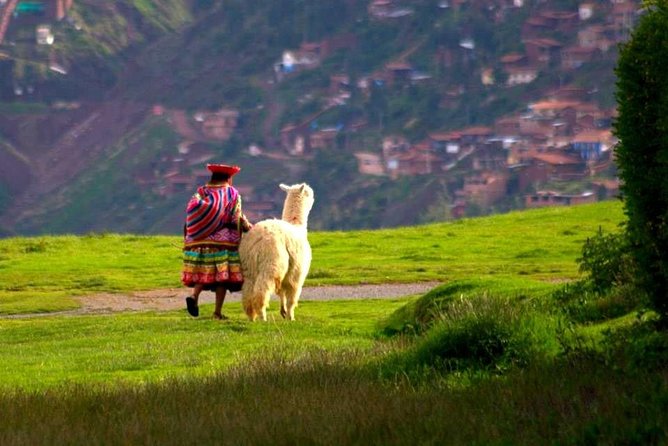 Cusco City Tour - Group Service - Key points to know before booking