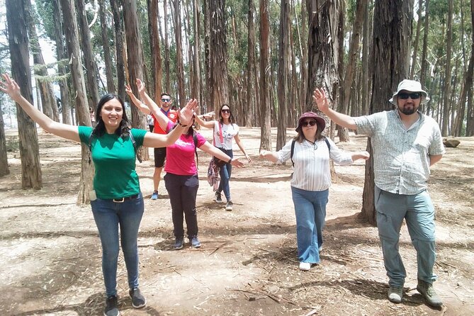 Cusco: City Tour Half Day Tour with Sacsayhuaman and Q’enqo - Why this half-day route works in Cusco