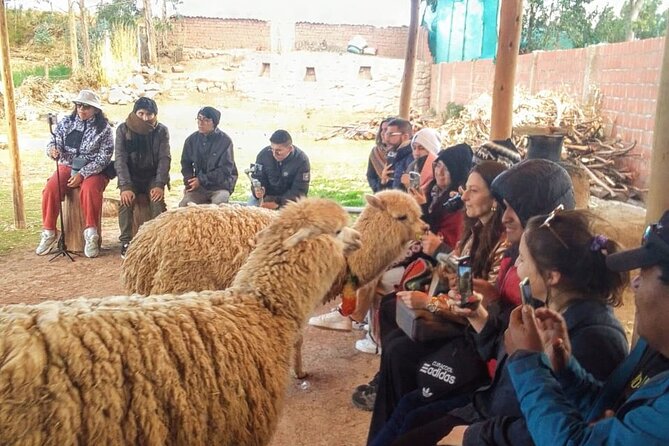 Cusco: City Tour Half Day Tour with Sacsayhuaman and Q’enqo - Tambomachay: water, fountains, and a quieter finish