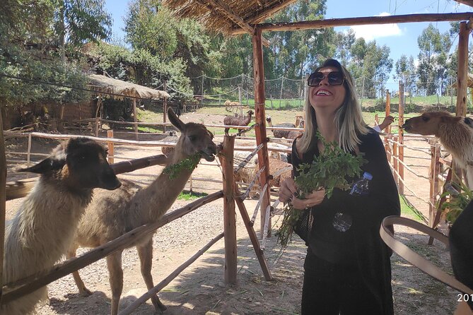 Cusco City Tour Peru 1/2 day - Manos de la Comunidad and the closing stop