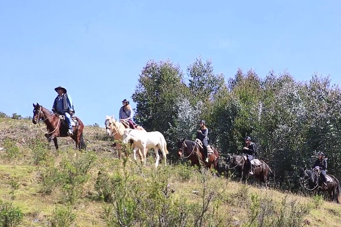 Cusco Day Tour Horse Riding Mystic Tour Full Service The Most Recommended - Hotel pickup makes a short tour easier
