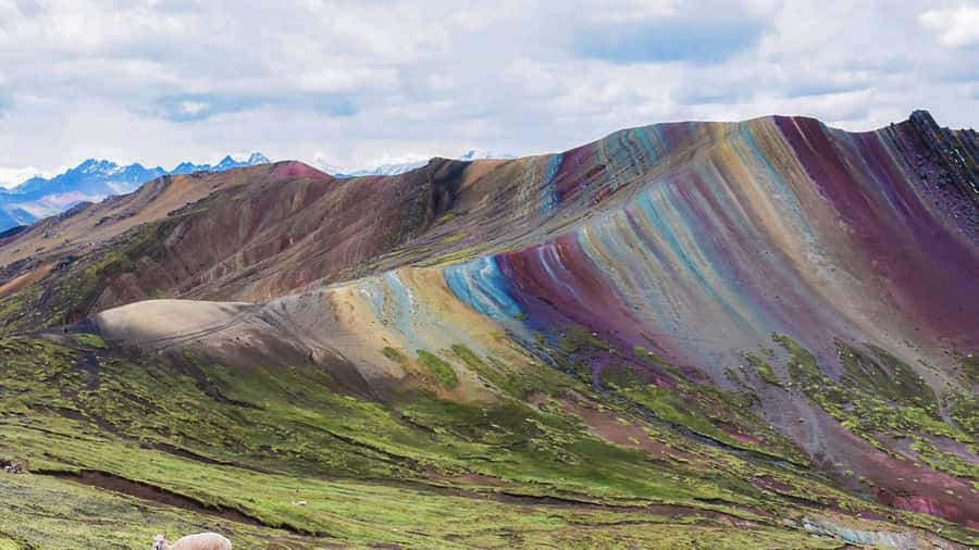Cusco : Full day Palcoyo Mountain of colors - Why Palcoyo makes a good alternative to a longer mountain hike