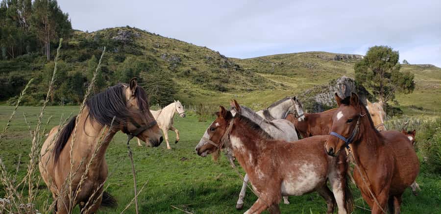 Cusco: Half-Day Horseback Riding at Devil's Balcony - Riding above Cusco for the first hour