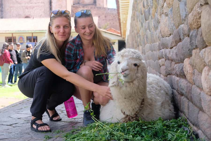 Cusco Highlights Walking Tour: History, Culture, Traditions - Starting at the Plaza de Armas