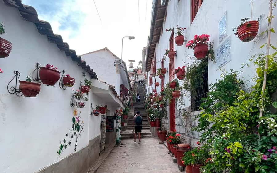 Cusco : Historical walking tour and tourist lookout point and Andean music show - Sapantiana Aqueduct and Siete Borreguitos Street
