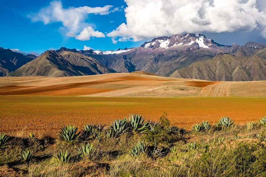 Cusco: Moray, Maras Salt Mines, and Chinchero Weavers Tour - Salineras, 3,000 small pools still producing salt