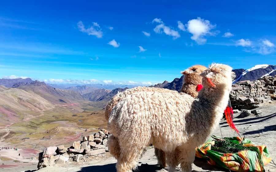 Cusco: Mountain of 7 colors Vinicunca and the Red Valley (optional) - The optional Red Valley extension