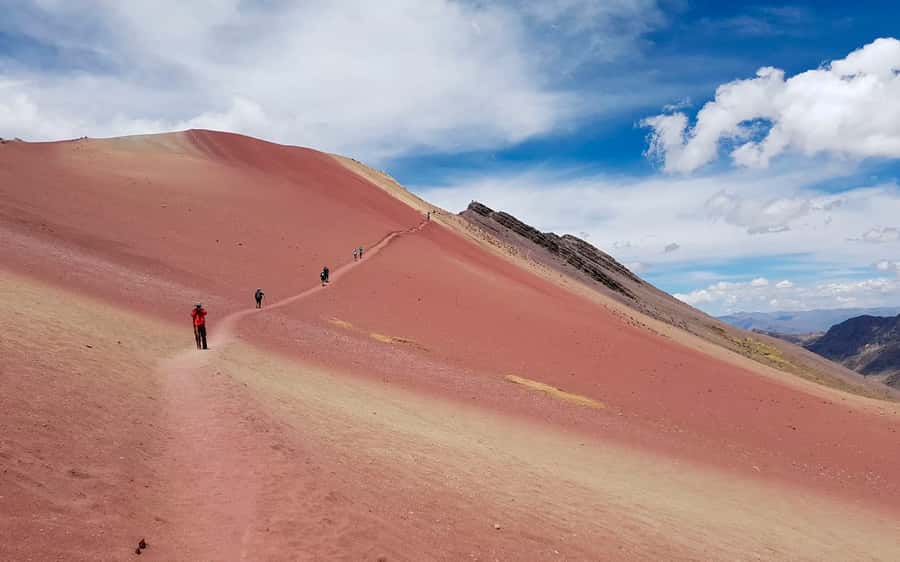 Cusco: Mountain of 7 colors Vinicunca and the Red Valley (optional) - The descent and the Cusipata buffet