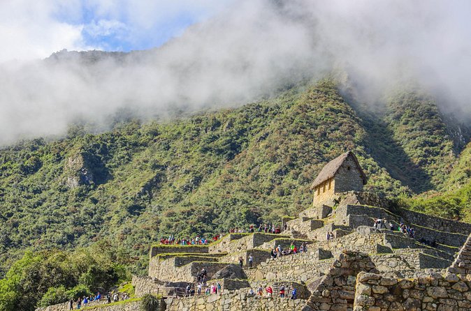 Cusco One Day Tour to Machu Picchu with Train Transfers - Group Size, Guides, and the Human Touch