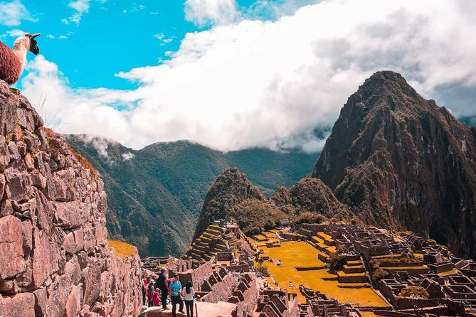Cusco Package Tour (8 Days) - Who should book this eight-day route?
