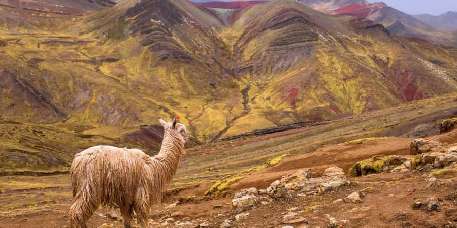 Cusco : Palcoyo - Rainbow Mountain Hidden Sister - Key Points About the Palcoyo Day Trip