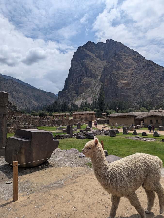 Cusco: Pisaq & Ollantaytambo end in Ollantaytambo with Lunch - What the transportation is like
