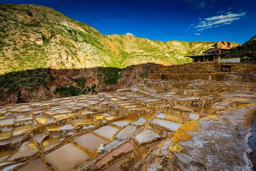 Cusco: Sacred Valley VIP, Pisac, Ollantaytambo - What the guide service adds
