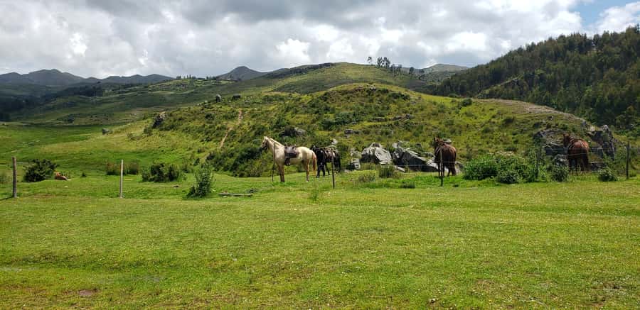 Cusco: Sacsayhuaman Guided Tour and 1-Hour Horseback Ride - The ranch briefing and choosing your horse