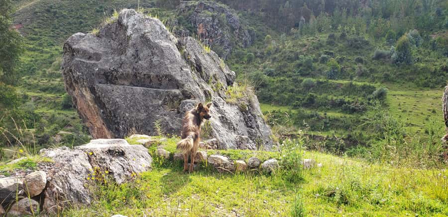 Cusco: Sacsayhuaman Guided Tour and 1-Hour Horseback Ride - One hour on horseback through Sacsayhuaman National Park
