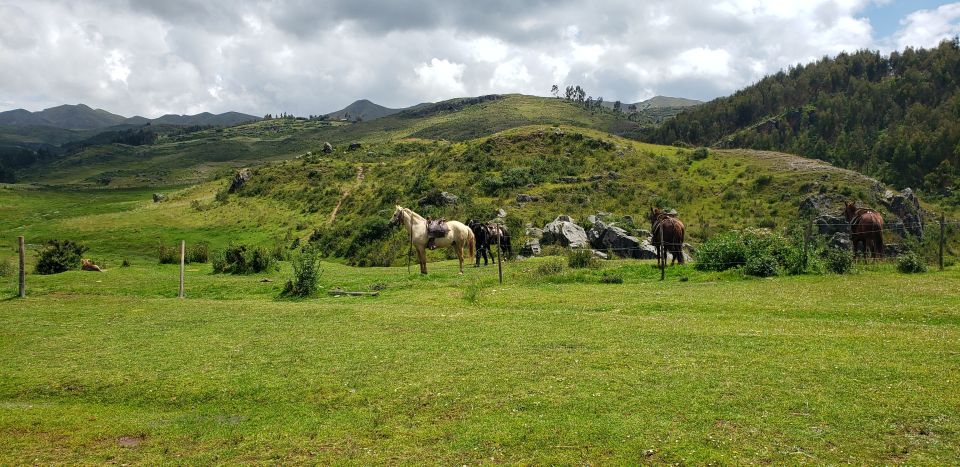 Cusco: Sacsayhuaman Guided Tour and 1-Hour Horseback Ride - The guides and the human side of the experience