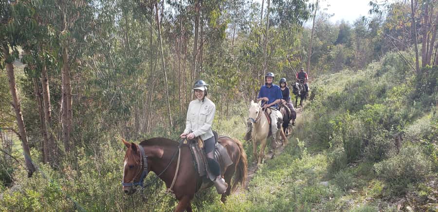 Cusco: Sacsayhuaman Guided Tour and 1-Hour Horseback Ride - Sacsayhuaman: Inca engineering on a huge scale