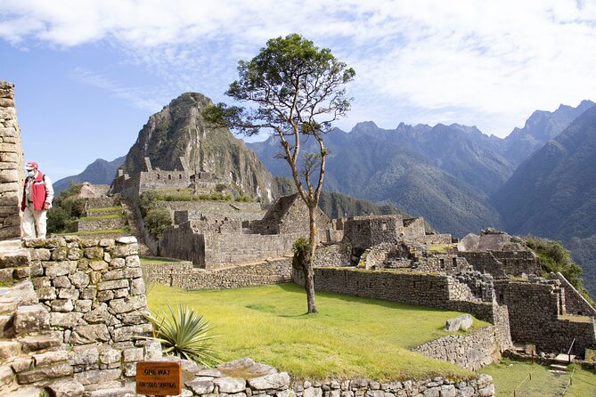 Cusco to Machu Picchu Full-Day Tour : Vistadome & Observatory Train - How the coordination works in practice