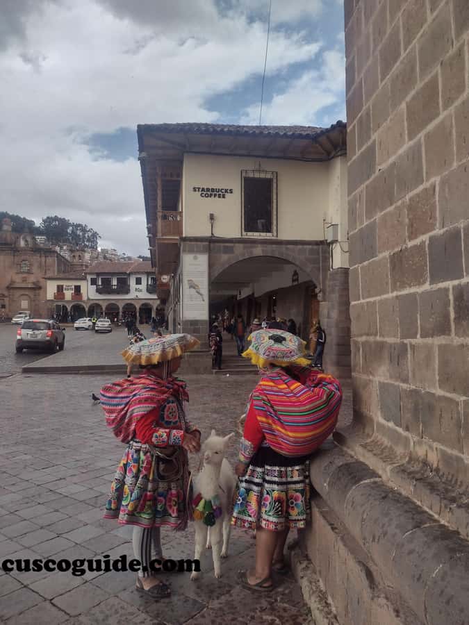 Cusco Walking Tour: Downtown, Sun Temple & San Blas Views - Five useful reasons to consider this Cusco walk