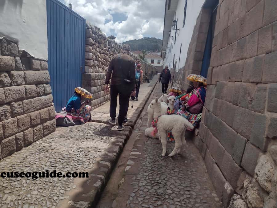 Cusco Walking Tour: Downtown, Sun Temple & San Blas Views - Cusicancha and the Twelve-Angled Stone