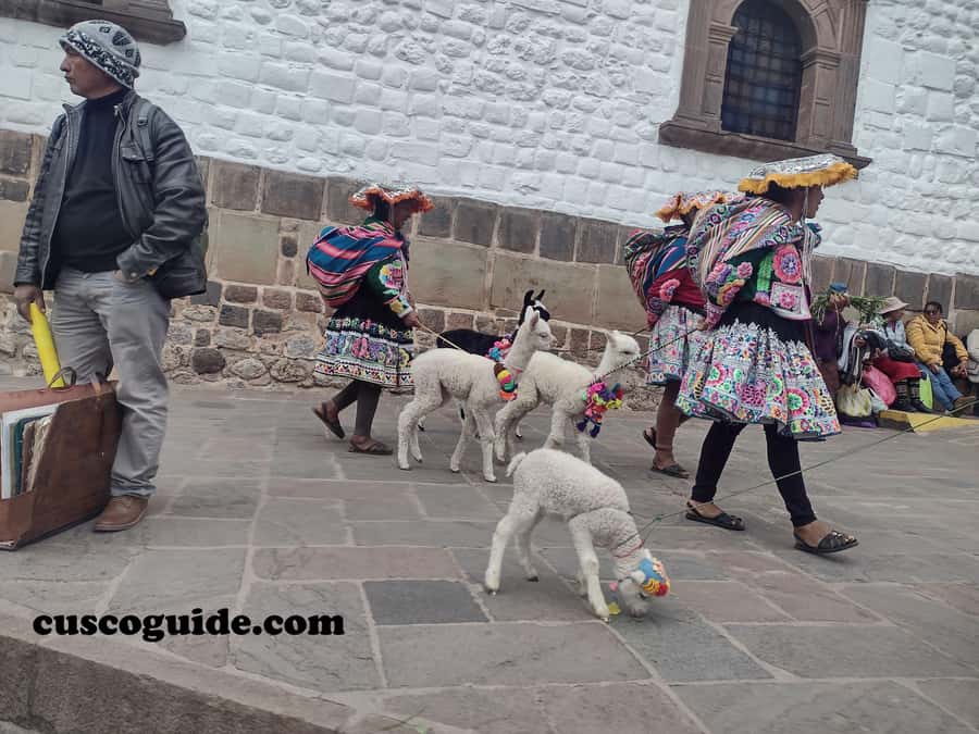 Cusco Walking Tour: Downtown, Sun Temple & San Blas Views - Choosing the right departure time