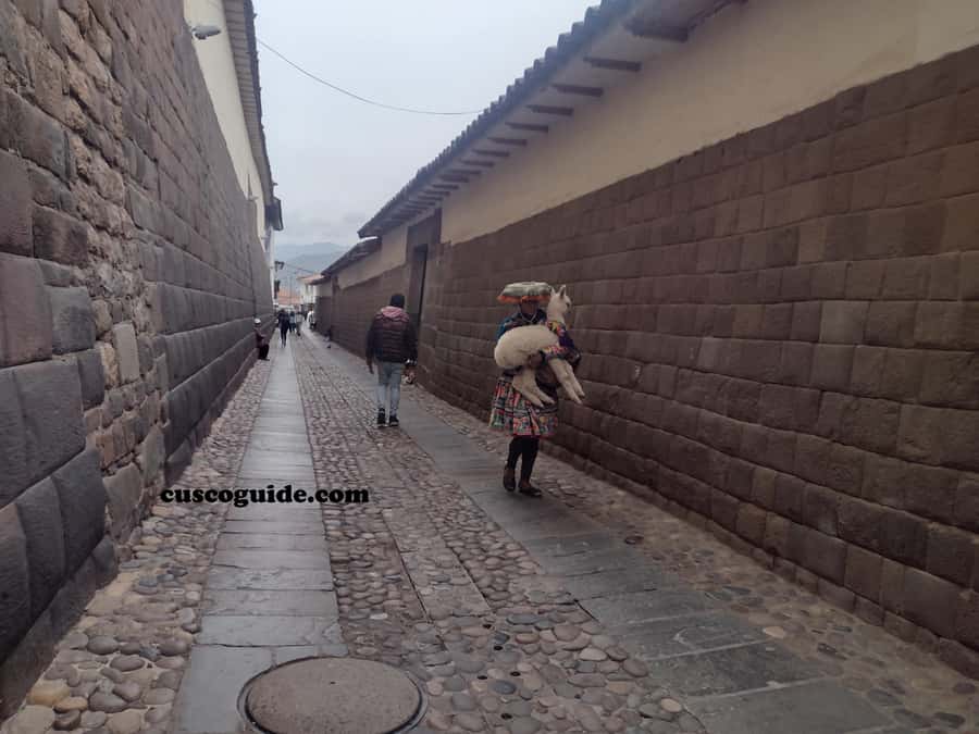 Cusco Walking Tour: Downtown, Sun Temple & San Blas Views - Following Sun Street and the Inca walls
